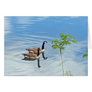 Profiter d'une baignade