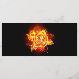 Programme Blooming Fire Rose