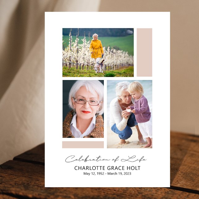 Programme commémoratif de la Galerie moderne (Créateur téléchargé)