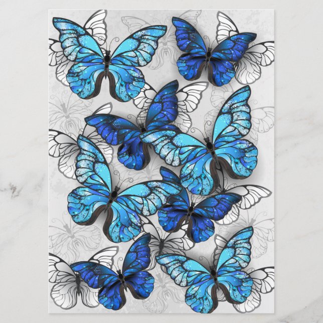 Programme Composition des White and Blue Butterflies (Devant)