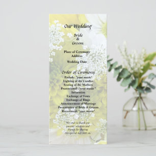 Programme Daisies, mamans et bouquet de dentelle de la reine