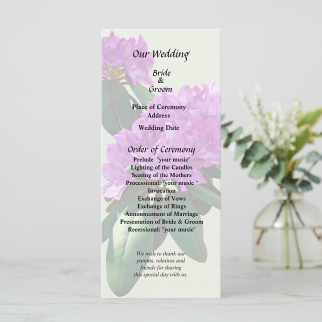 Programme De beaux rhododendrons roses (Debout devant)