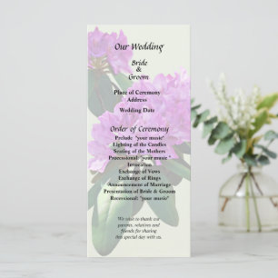 Programme De beaux rhododendrons roses
