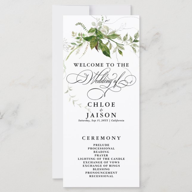 Programme de calligraphie de l'aquarelle des plant (Devant)