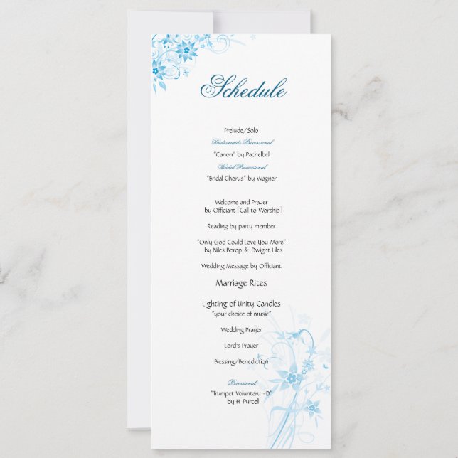 Programme de fleur d'étoile bleue (Dos)