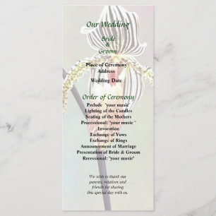 Programme de l'orchidée de Taiwan Paph