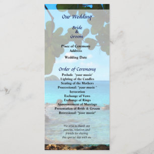 Programme de mariage à St. Thomas sur la plage pai