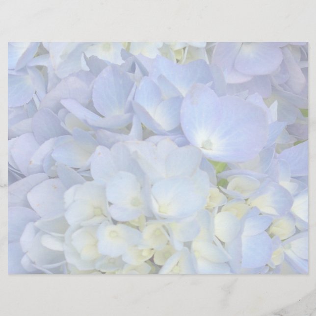 Programme de mariage Hydrangea bleu clair Papier b (Devant)