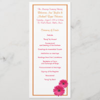 Programme de mariage orange et rose Gerbera Daisy