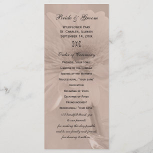 Programme de mariage pâle rose teintée marguerite