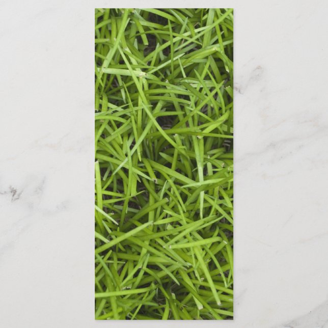 Programme de mariage pour le Jardin de l'herbe ver (Dos)