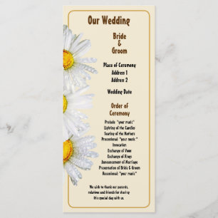 Programme de mariage White Daisies in the Rain