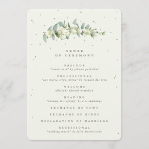 Programme Elégante crème Snowberry+Eucalyptus Mariage de tig