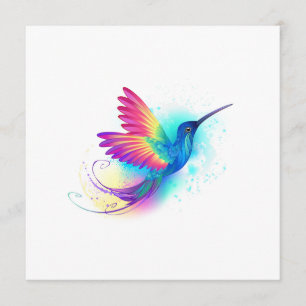 Programme Exotic Rainbow Hummingbird