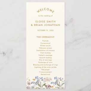 Programme Fleur sauvage de printemps coloré Meadow Gold Mari