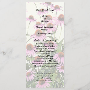 Programme Groupe de Rudbeckies roses
