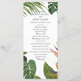 Programme Le rêve tropical