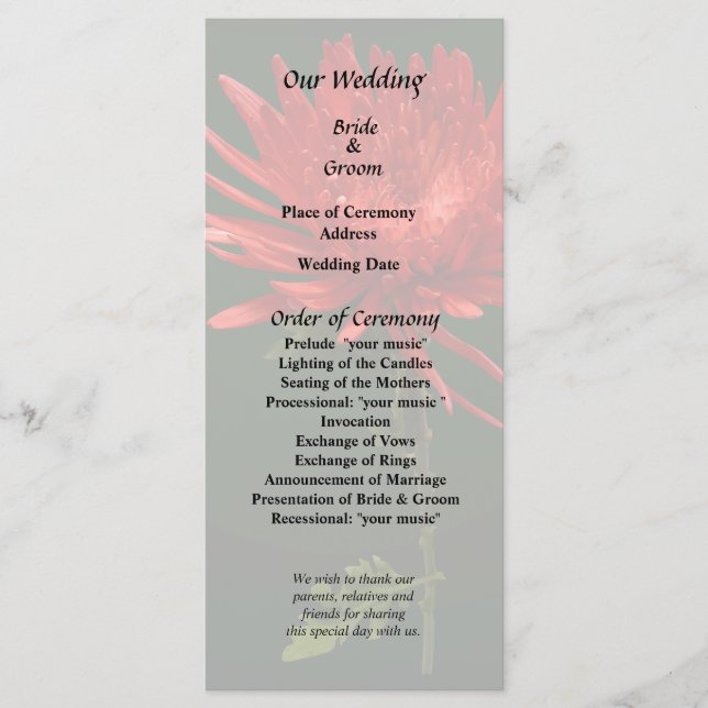 Programme Maman Araignée Rouge (Devant)