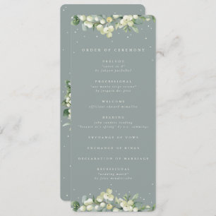 Programme Mariage d'hiver Seafoam Green Snowberry+Eucalyptus