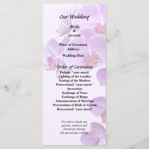 Programme Orchidées Phalaenopsis Grandes et Petites