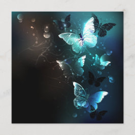 Programme Papillons de nuit