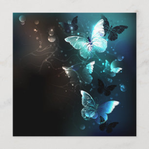 Programme Papillons de nuit