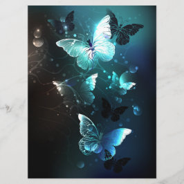 Programme Papillons de nuit