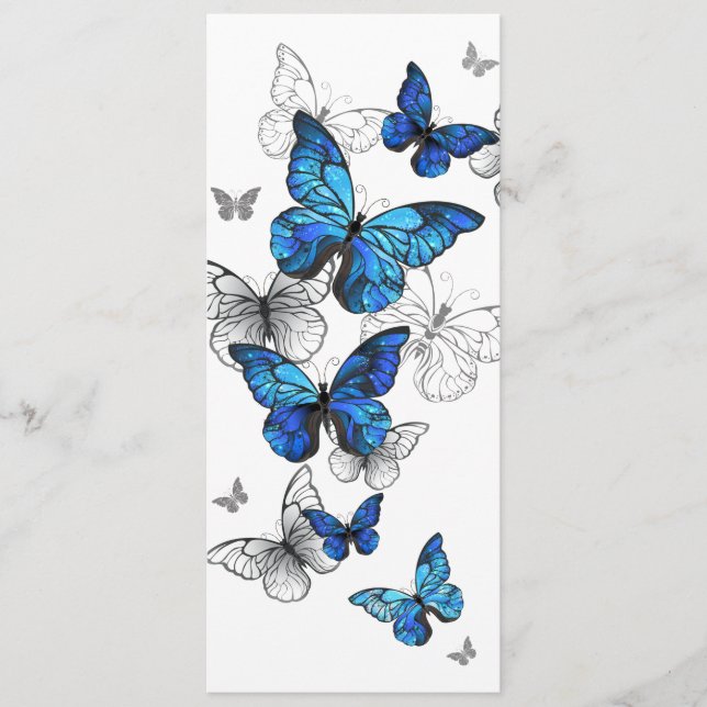 Programme Papillons volants bleus Morpho (Devant)