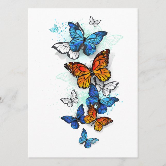 Programme Papillons volants Morpho et Monarch (Devant)