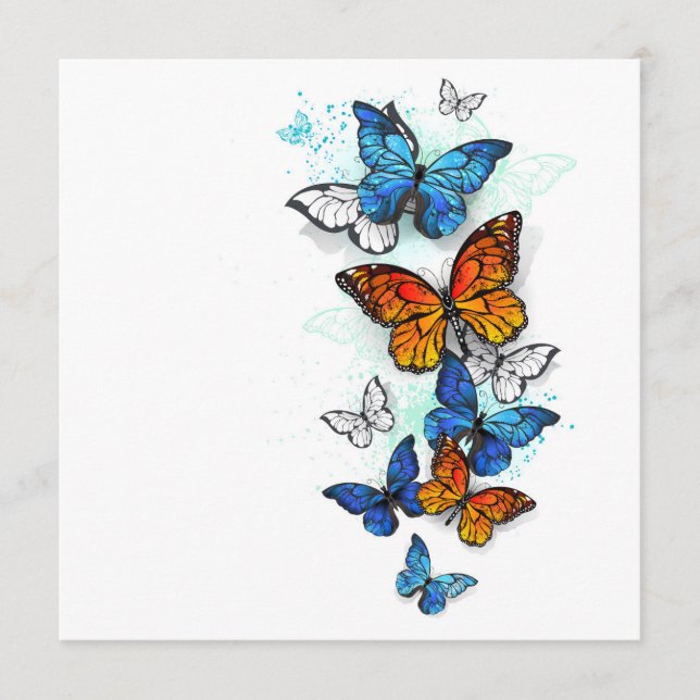 Programme Papillons volants Morpho et Monarch (Devant)