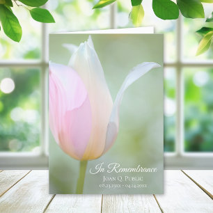 Programme Pastel Tulip Fleur Printemps funéraire Service pli