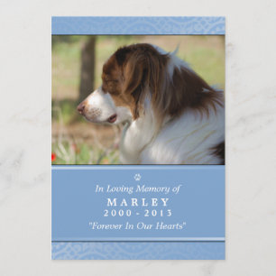 Programme Pet Memorial 5x7 bleu clair poème contenté