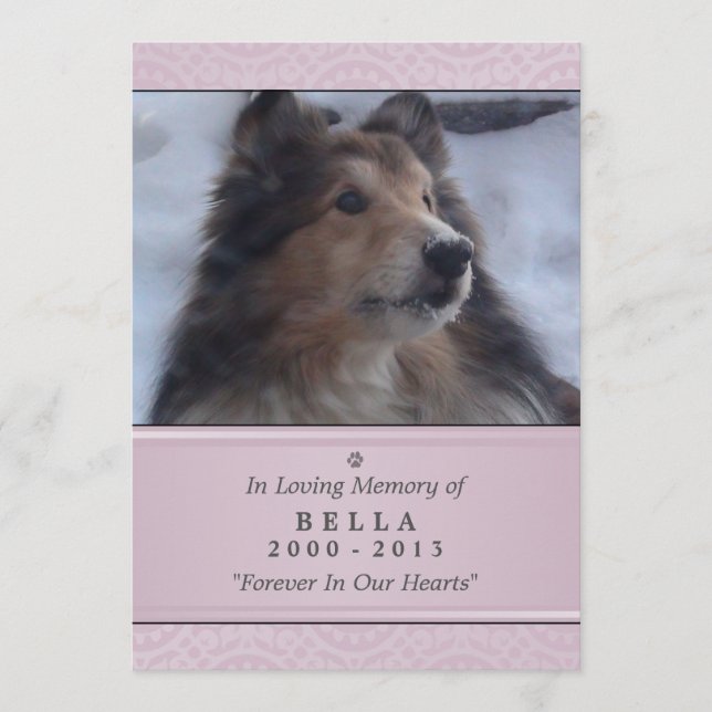 Programme Pet Memorial Card 5"x7" rose moderne - Femme Pet (Devant)