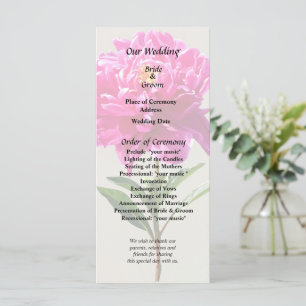 Programme Pivoine Rose Clair