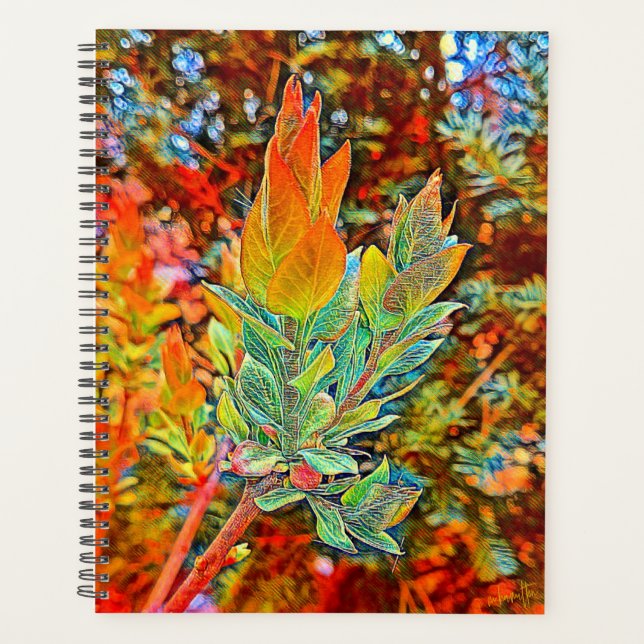 Programme quotidien de couverture dure (Devant)