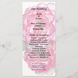 Programme Roses roses et blanches