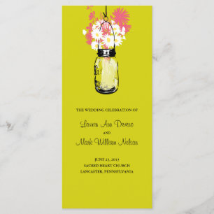 Programme rustique de marguerites de pot et de