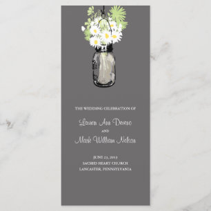 Programme rustique de marguerites de pot et de