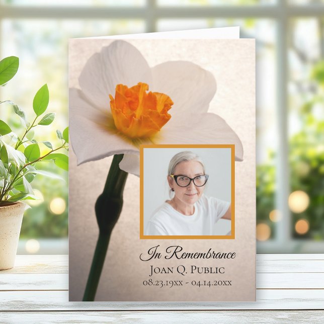 Programme Service funéraire de printemps de jonquille blanch (Créateur téléchargé)