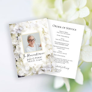 Programme Service funéraire des fleurs d'Hydrangée blanche