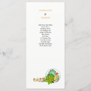 Programme Succulents botaniques   Plage personnalisée