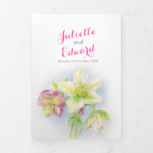 Fleurs de hellébore de printemps à l'aquarelle mar
