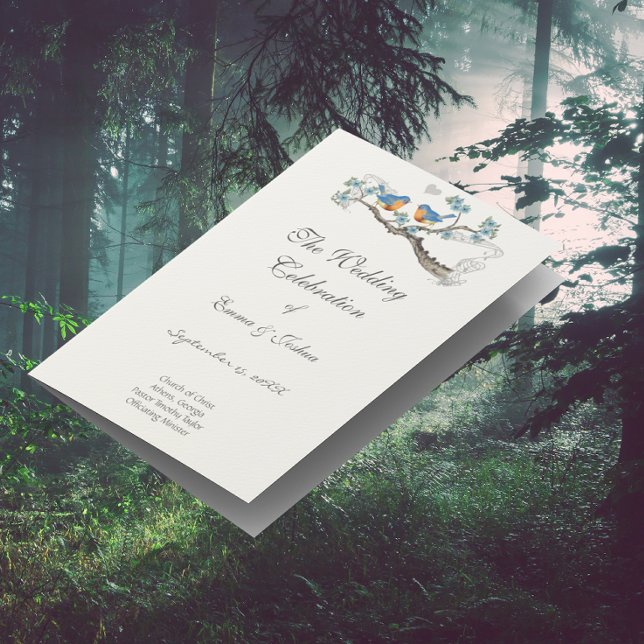 Programme vintage Bluebird (Créateur téléchargé)