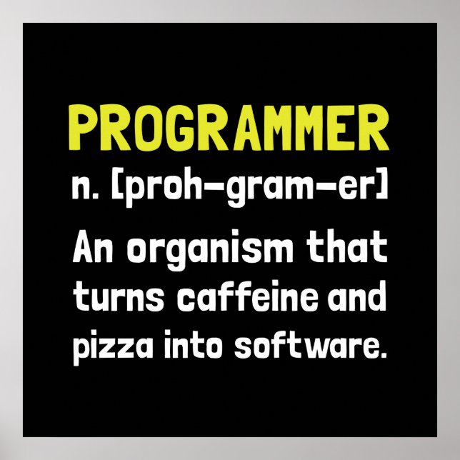 Programmer Definition Poster (Vorne)