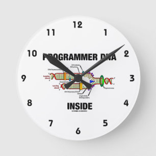 Programmer DNA Inside (DNA Replication) Runde Wanduhr