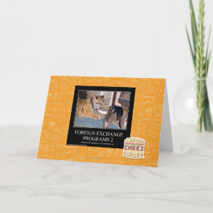 Programmes de devises étrangères 2