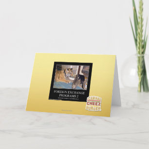 Programmes de devises étrangères 2