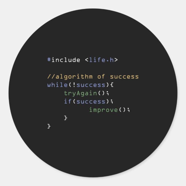Programmierer Computerwissenschaftssystemcoding-Sp Runder Aufkleber (Vorderseite)