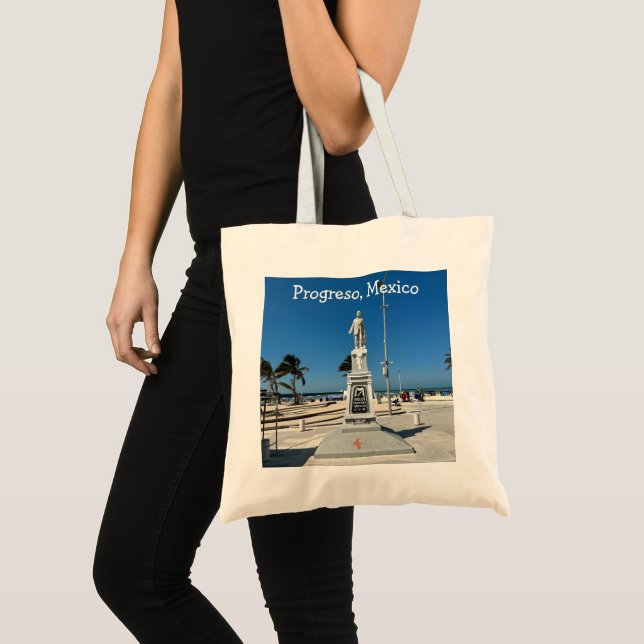 Progreso, Mexiko - Tasche des Haushalts (Vorderseite (Produkt))