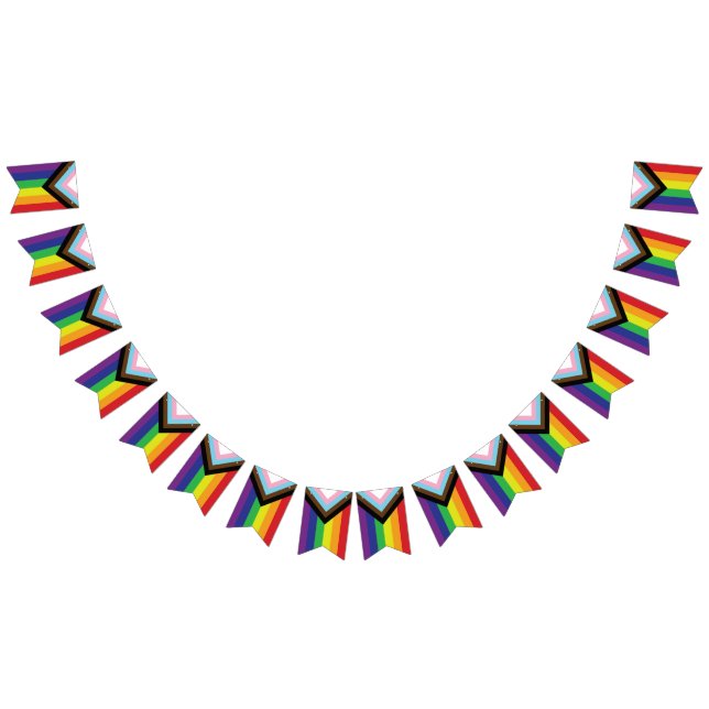 Progressive LGBTQIA-Flagge Wimpelkette (Alle)